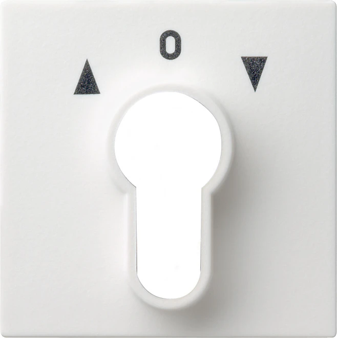 Cache / organe de commande pour installation domotique Gira System 55 Programmübergreifend