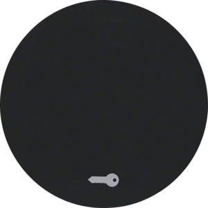 Cache / organe de commande pour installation domotique Berker Berker R.1/R.3/R.8