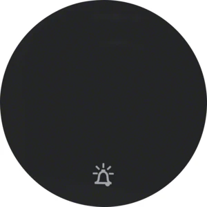 Control element/cover plate for domestic switching devices Berker Berker R.1/R.3/R.8