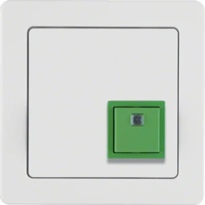 Handicapped person element for domestic switching devices Berker Berker Q.1