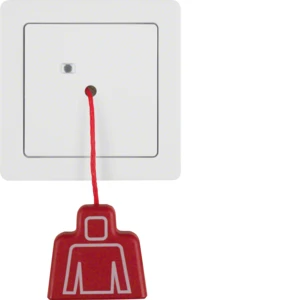 Handicapped person element for domestic switching devices Berker Berker Q.1