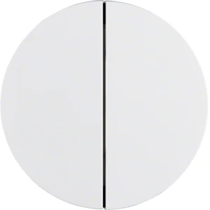 Intelligent control element Berker Berker R.1/R.3/R.8/Serie 1930/R.classic