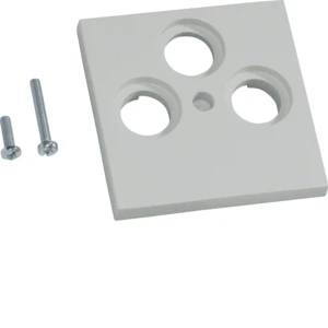 Insert/cover for communication technology Hager