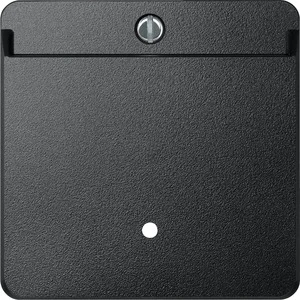 Control element/cover plate for domestic switching devices Merten System M