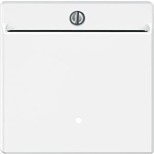 Control element/cover plate for domestic switching devices Merten System M