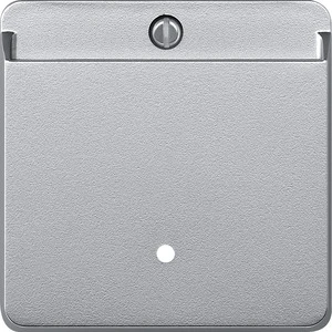 Control element/cover plate for domestic switching devices Merten System M