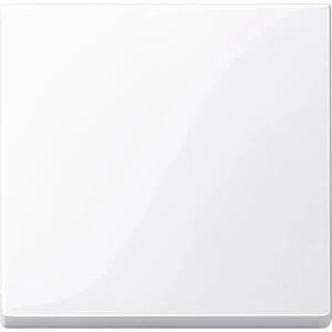 Cache / organe de commande pour installation domotique Merten System M