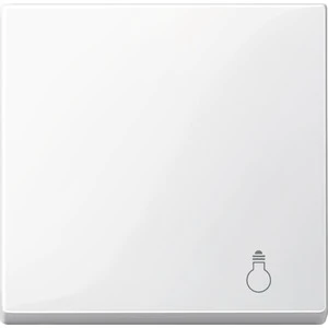 Control element/cover plate for domestic switching devices Merten System M