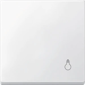 Control element/cover plate for domestic switching devices Merten System M