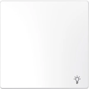 Control element/cover plate for domestic switching devices Merten System Design