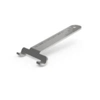 PROMOUNT, 1INL99AC002