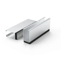 PROMOUNT, 1SSP99AC028