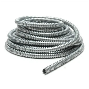 1011.111.011 FLEXA BESCHERMSLANG SPR AS PG9 1=10M