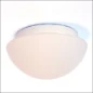  RZB FLAT BASIC LED