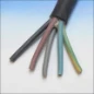  DONNE NEOPR ZW D585401963 R100