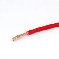 LAPP, H05V-K 1 RD R100