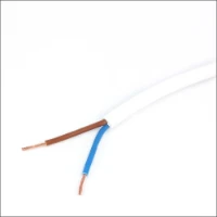 DRAKA, VMVL ECA 2X0.75 WIT R100