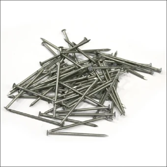 010090 REWWER SPIJKER 2.8X65MM 1=2.5KG