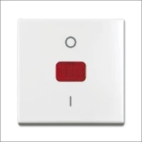 ABB BUSCH-JAEGER, 2544-914