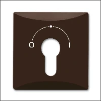 ABB BUSCH-JAEGER, 2155 SLPZ-31