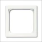  ABB BUSCH- CPL VERLOOP 50X50MM F-MATWIT