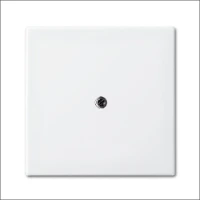 ABB BUSCH-JAEGER, 2536-914