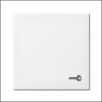 ABB BUSCH-JAEGER, 2520 TR-914