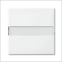 ABB BUSCH-JAEGER, 2510 NLI-914