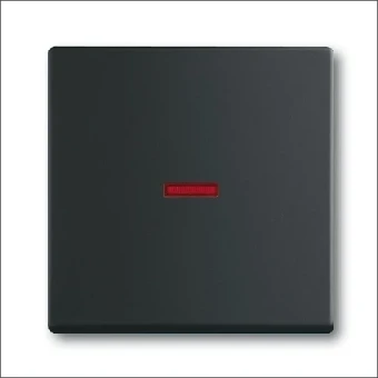 1789-885 ABB BUSCH- WIP RODE LENS WIS F-MATZW