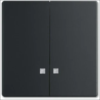 1785 K-885 ABB BUSCH- WIP SERIE CONTR F-MATZWART