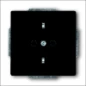 20 EUC-81 ABB BUSCH- WCD RA INB 1V C-ANTRACIET