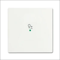 ABB BUSCH-JAEGER, 6234-10-884