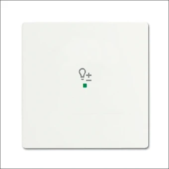 6234-10-884 ABB BUSCH- FAH BEDIENINGSWIP 1V DIMMER F-