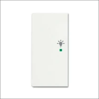 ABB BUSCH-JAEGER, 6231-21-884
