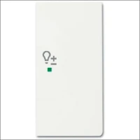 ABB BUSCH-JAEGER, 6234-22-884