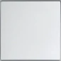 6735 BT-83 ABB BUSCH- FOH-BEDIENINGSWIP ENKEL FUTURE