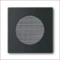 8253-885 ABB BUSCH- CPL RADIOLUIDSPREKER F-MATZW