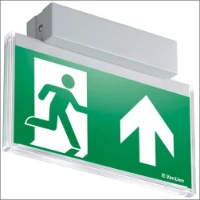 VAN LIEN, EVA-COP-22/FLX