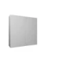  RITTAL AX KAST 1000X1000X300 2D 1MPL