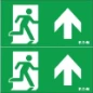  BLESSING PICTOGRAM NEXITECH PIJL RECHTD