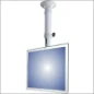  NEWSTAR LCD TFT PLAF ST H37-47CM ZIL
