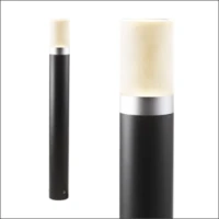 LIGHTPRO, 111P
