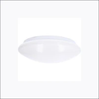 LEDS LIGHT, 810519