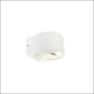  HOFFLIGHTS SCOTLAND 6W 3000K WIT