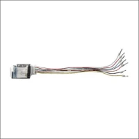 ECOLIGHT, IDNGP4P