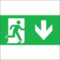 ECOLIGHT PICTOGRAM PIJL BENEDEN GENNIUS