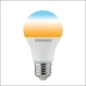 0028902 SYLVANIA TOLEDO WHITETONE GLS 806LM TW