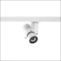 2055956 CONCORD BEACON MUSE PROJECTOR FRAMING