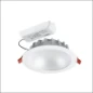 3033942 LUMIANCE INSAVER HO TOPPER LED II 205 R