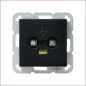0405005 GIRA POTENTIAALVEREFF DS 2V S55 MZW